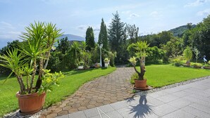 A paved pathway leading through a garden with potted plants and a clear sky.