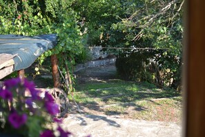 Parco della struttura