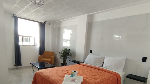 A hotel room with a large bed, a small table, a chair, a potted plant, and a window with curtains. - PALACIO DE LOS ANGELES  (Puebla)