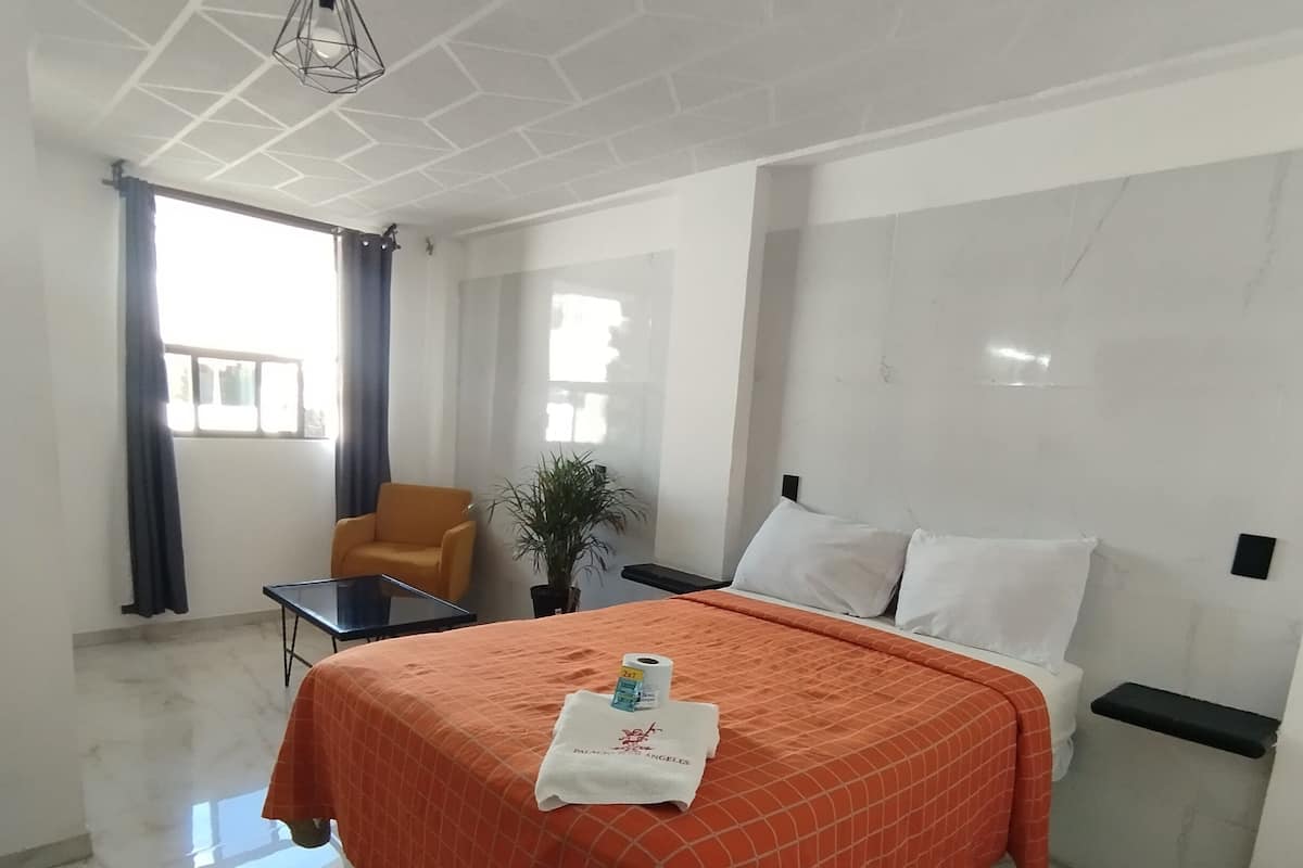 A hotel room with a large bed, a small table, a chair, a potted plant, and a window with curtains.