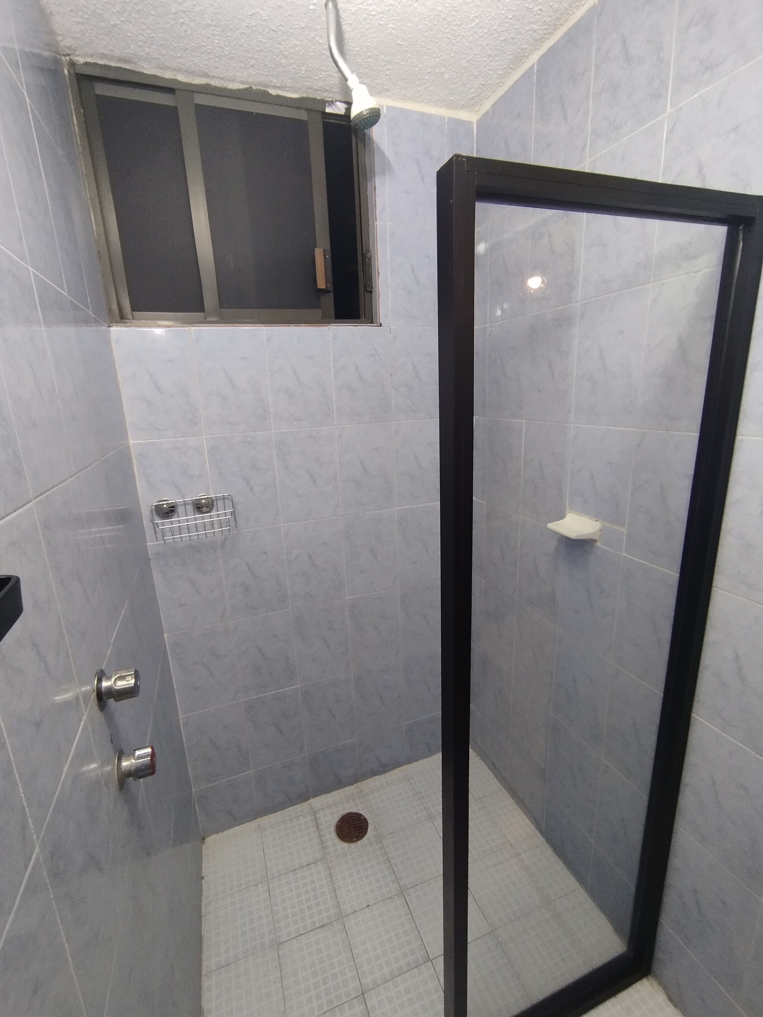 Shower, soap, shampoo, toilet paper