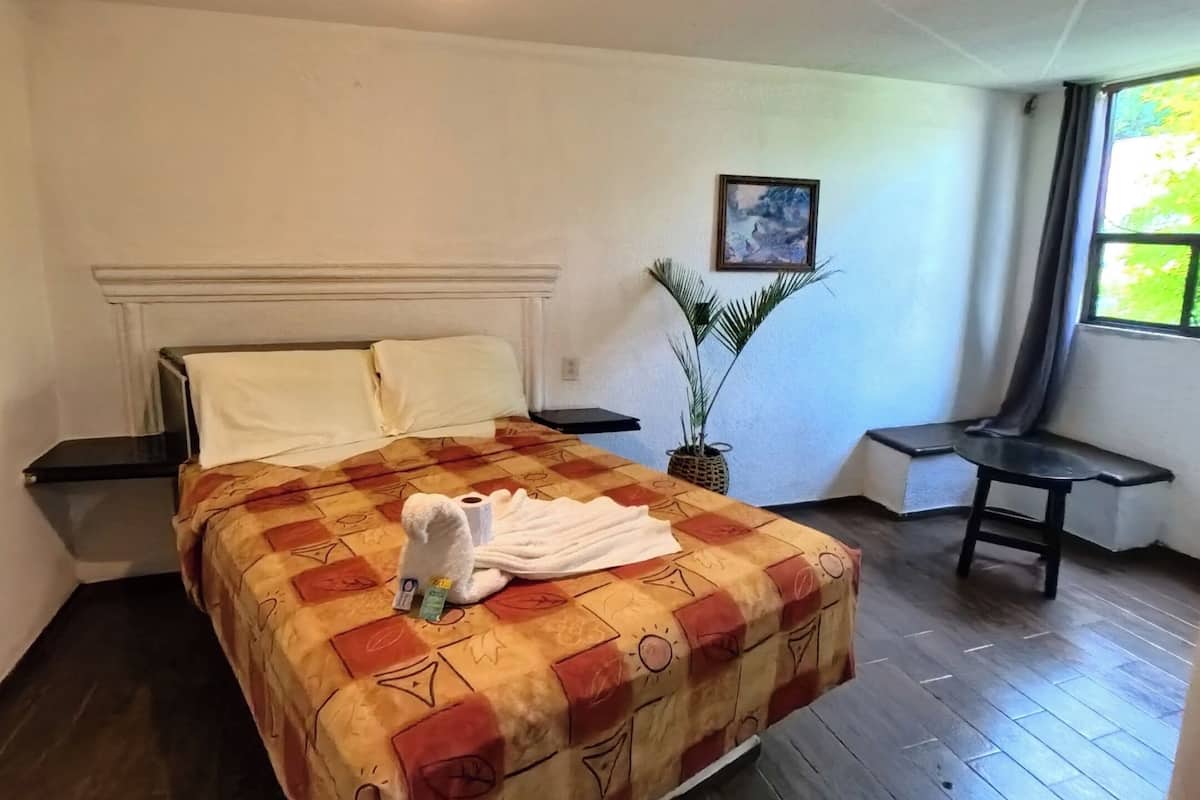 واي فاي مجانًا