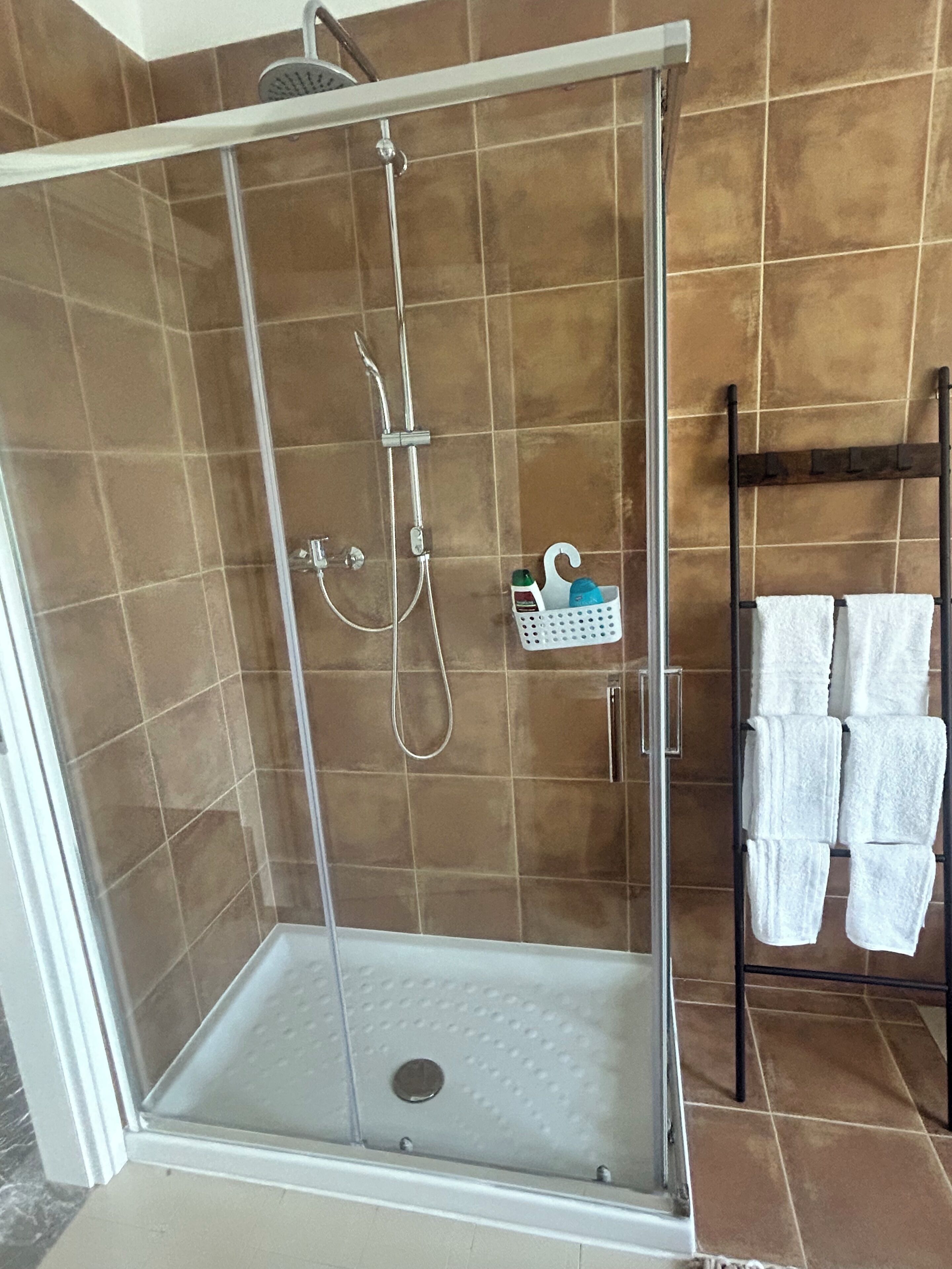 A walk-in shower with a glass door, a towel rack with multiple towels, and a small shelf with toiletries.