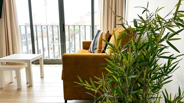 A living room with a sofa, a coffee table, and a potted plant. - BIA D'Olaf Apartments (Santa Maria)