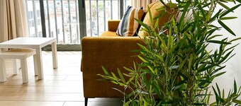 BIA D'Olaf Apartments