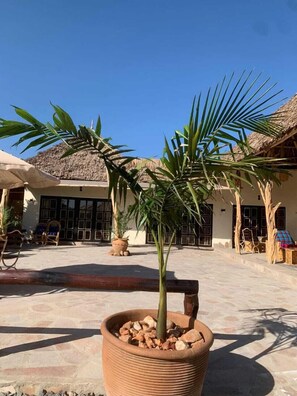 Front of property - Sarabi Wild Masai MAra (Maasai Mara)