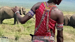 Une personne vêtue d’un costume traditionnel, debout dans un champ d’herbe, avec des éléphants en arrière-plan.