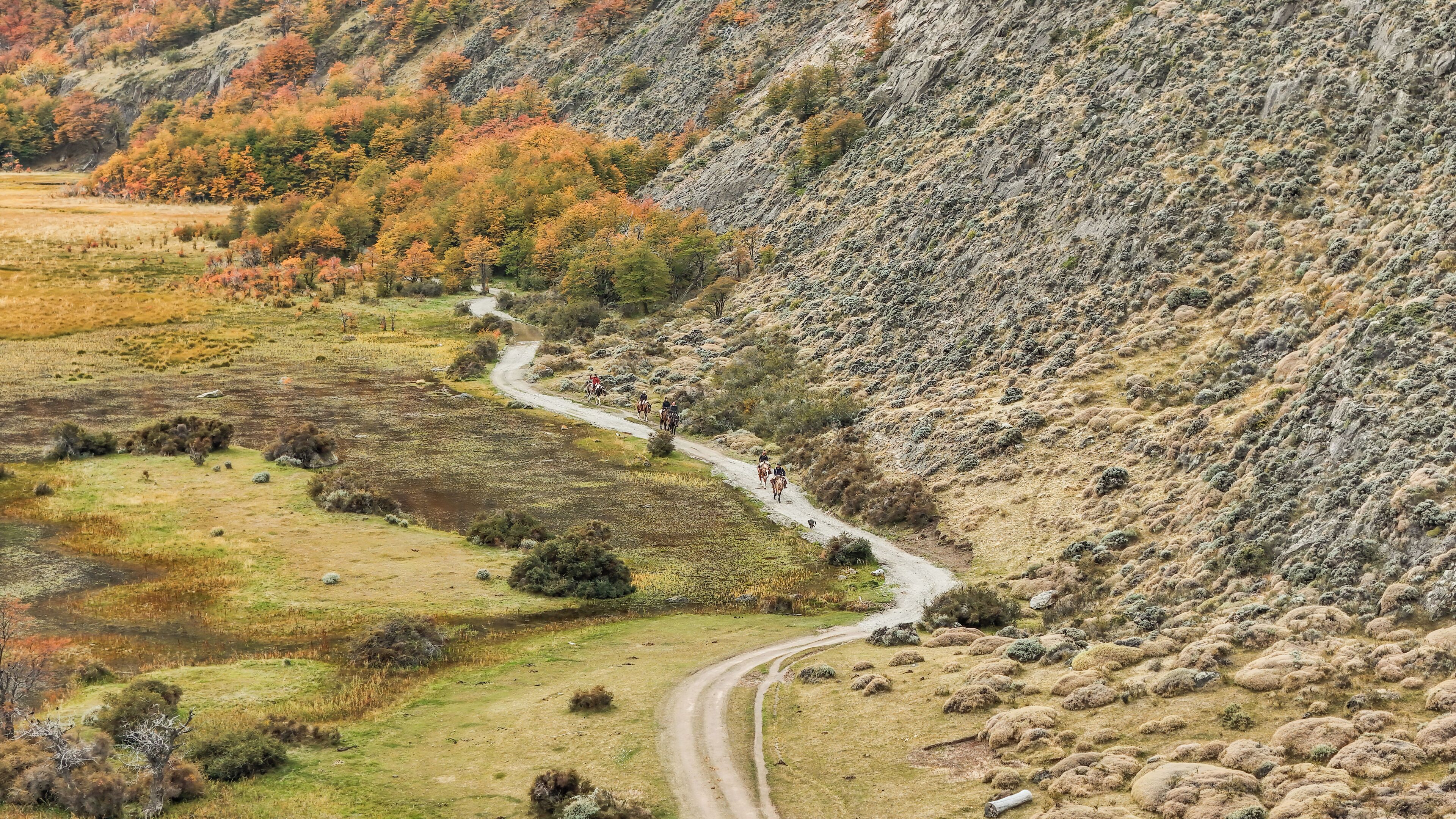 Eine kurvenreiche Feldstraße durch eine hügelige Landschaft mit spärlicher Vegetation und vereinzelten Bäumen.