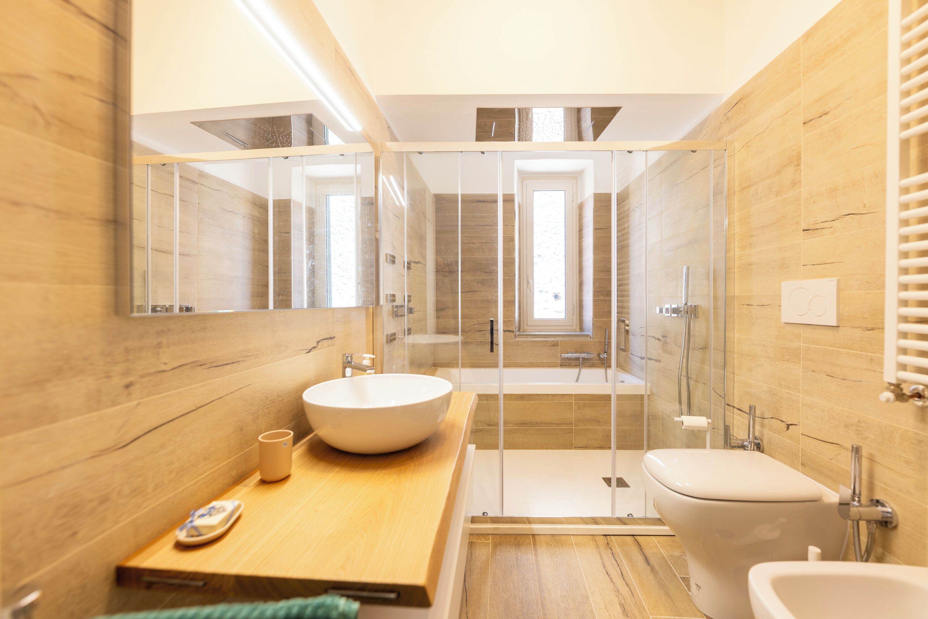 Hair dryer, bidet, towels
