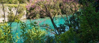 The Prince of Stifone - Short Term Rentals Italy