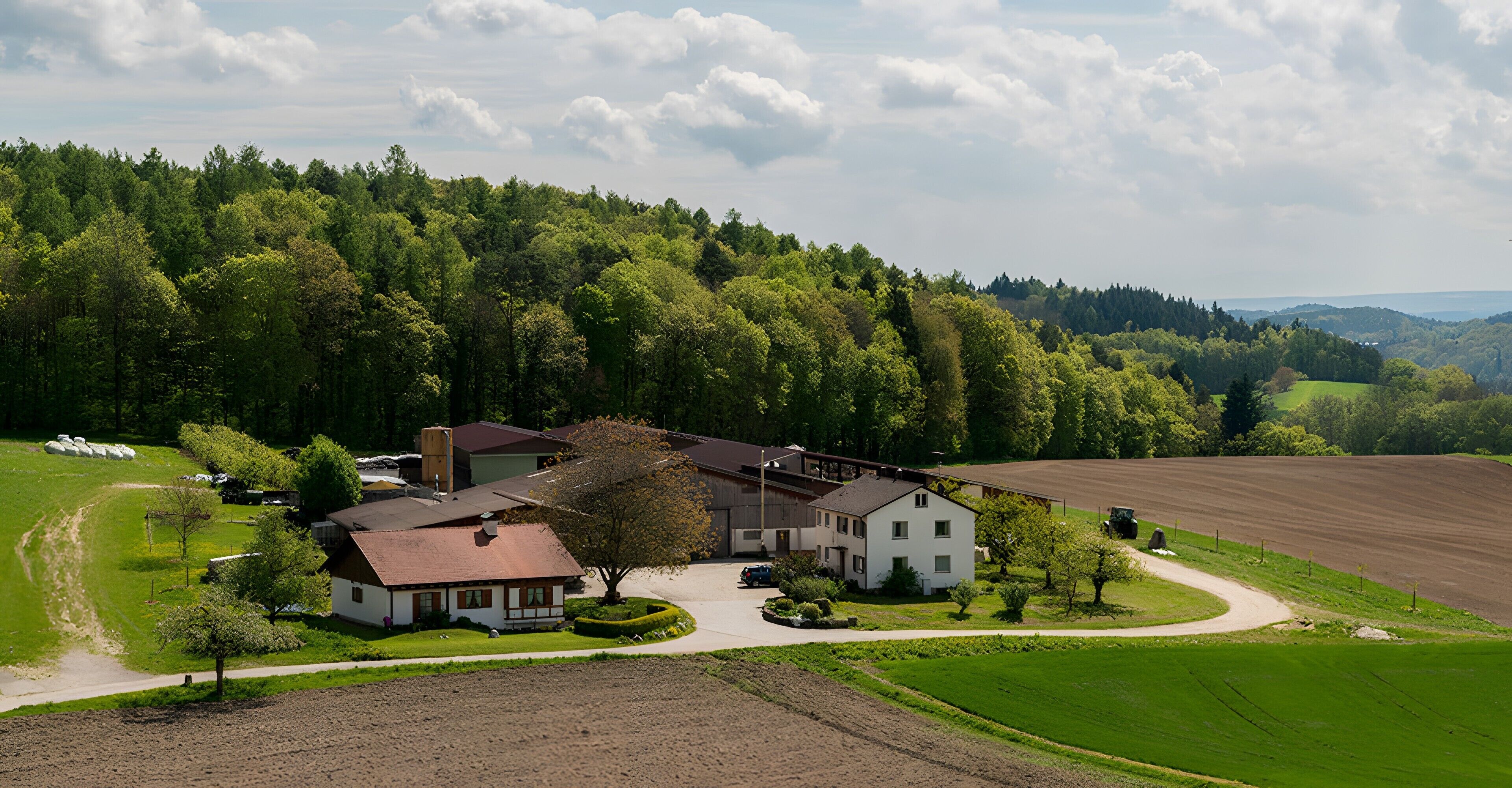 A large house with a spacious driveway, surrounded by lush greenery and fields.