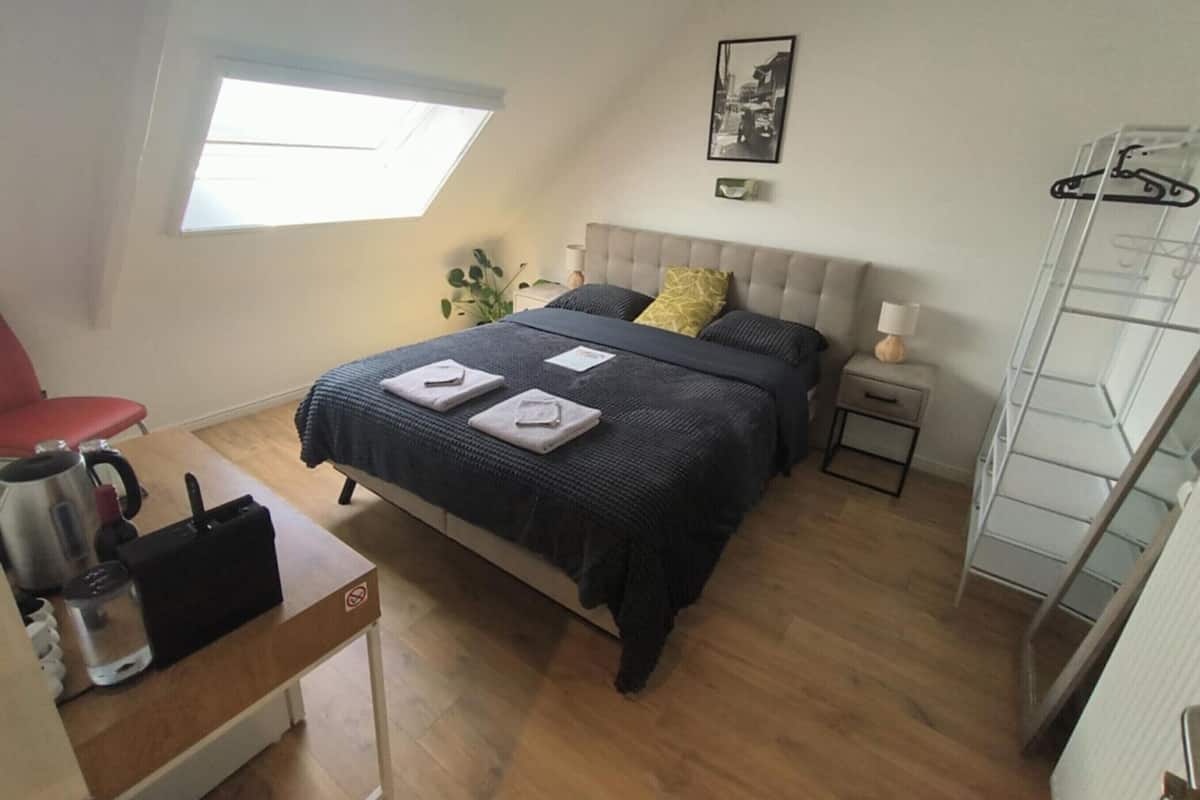 Kahden hengen comfort-huone, tupakointi kielletty, lemmikit sallittu | Ilmainen Wi-Fi