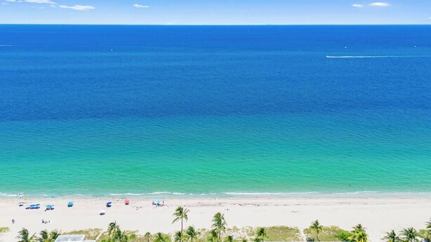 Een strand met helder turquoise water, een zandstrand en palmbomen.