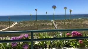 En kustutsikt med en klar himmel, en stig som leder ner till havet och ett räcke prytt med blommor.