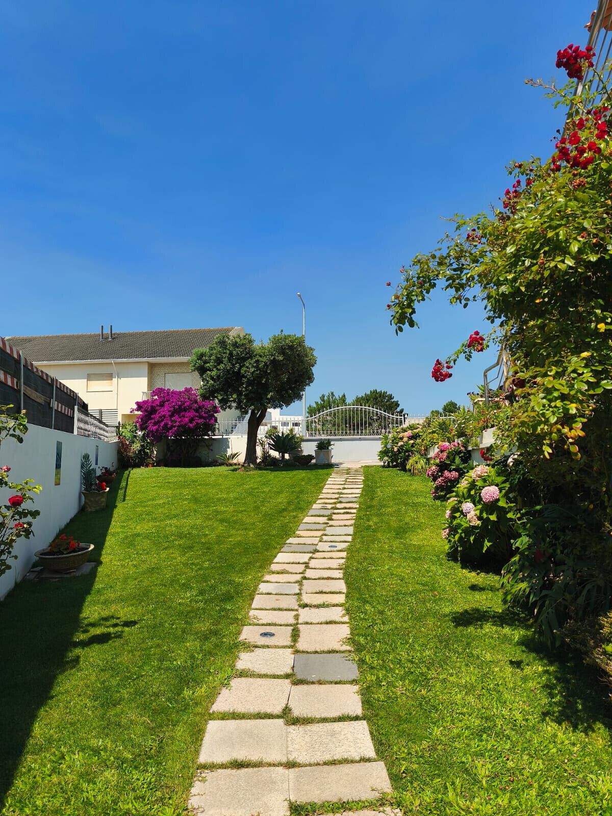 Appartement | 1 chambre