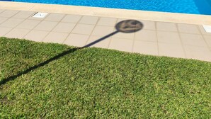 Piscina rectangular con borde de azulejos, rodeada por un césped cuidado y un seto.