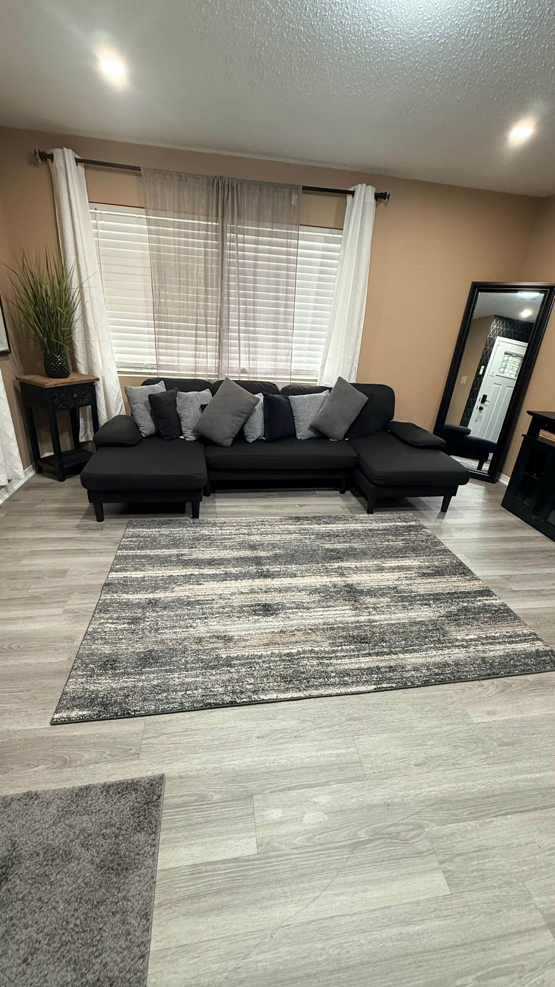 A living room with a sectional sofa, a patterned rug, and a potted plant.