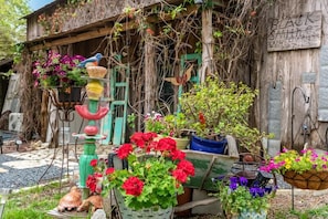 Jardines del alojamiento