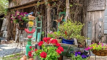 Terrain de l’hébergement