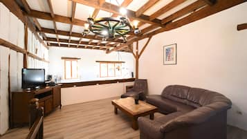 Fernseher, Kamin