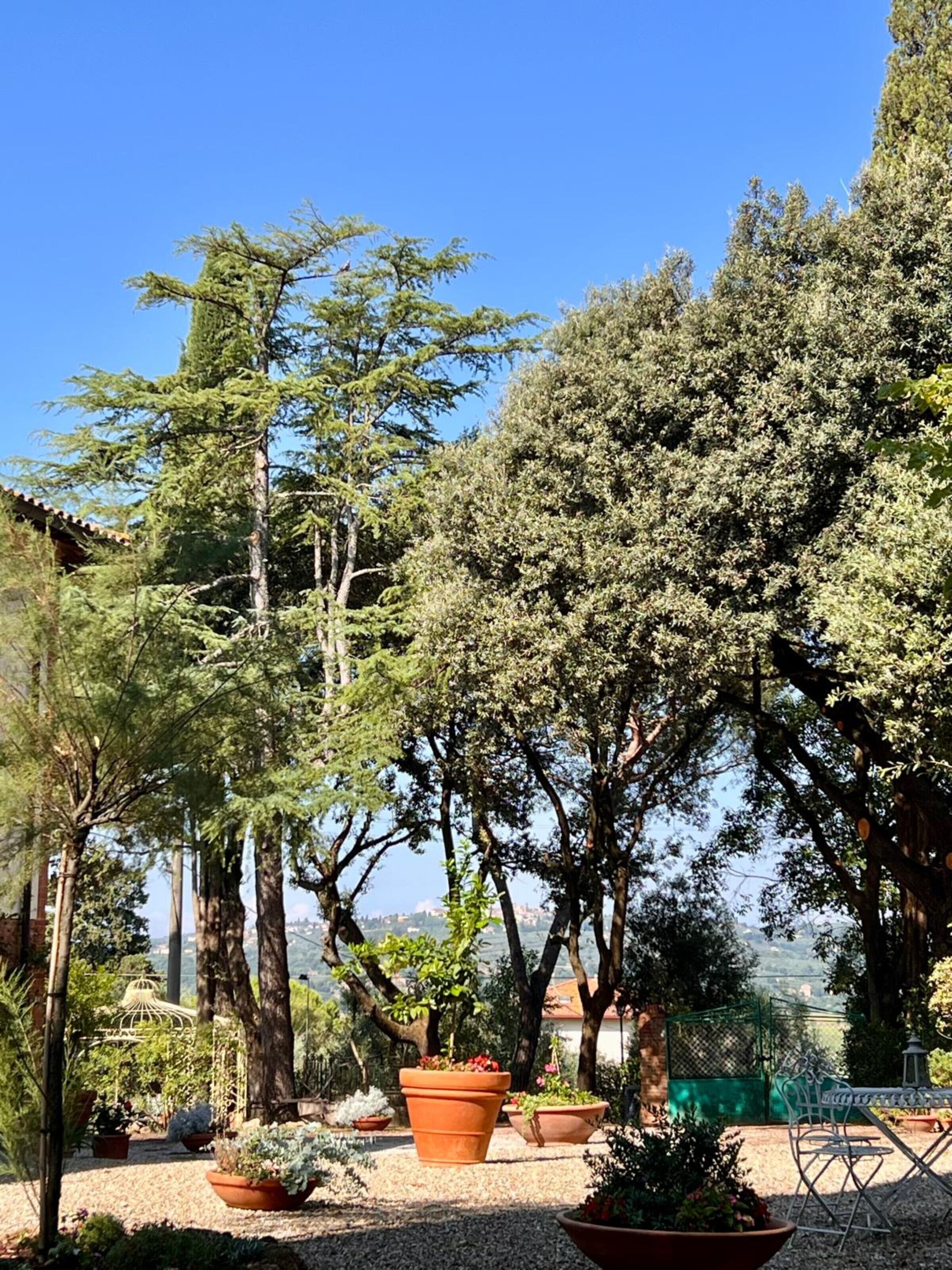 Parco della struttura