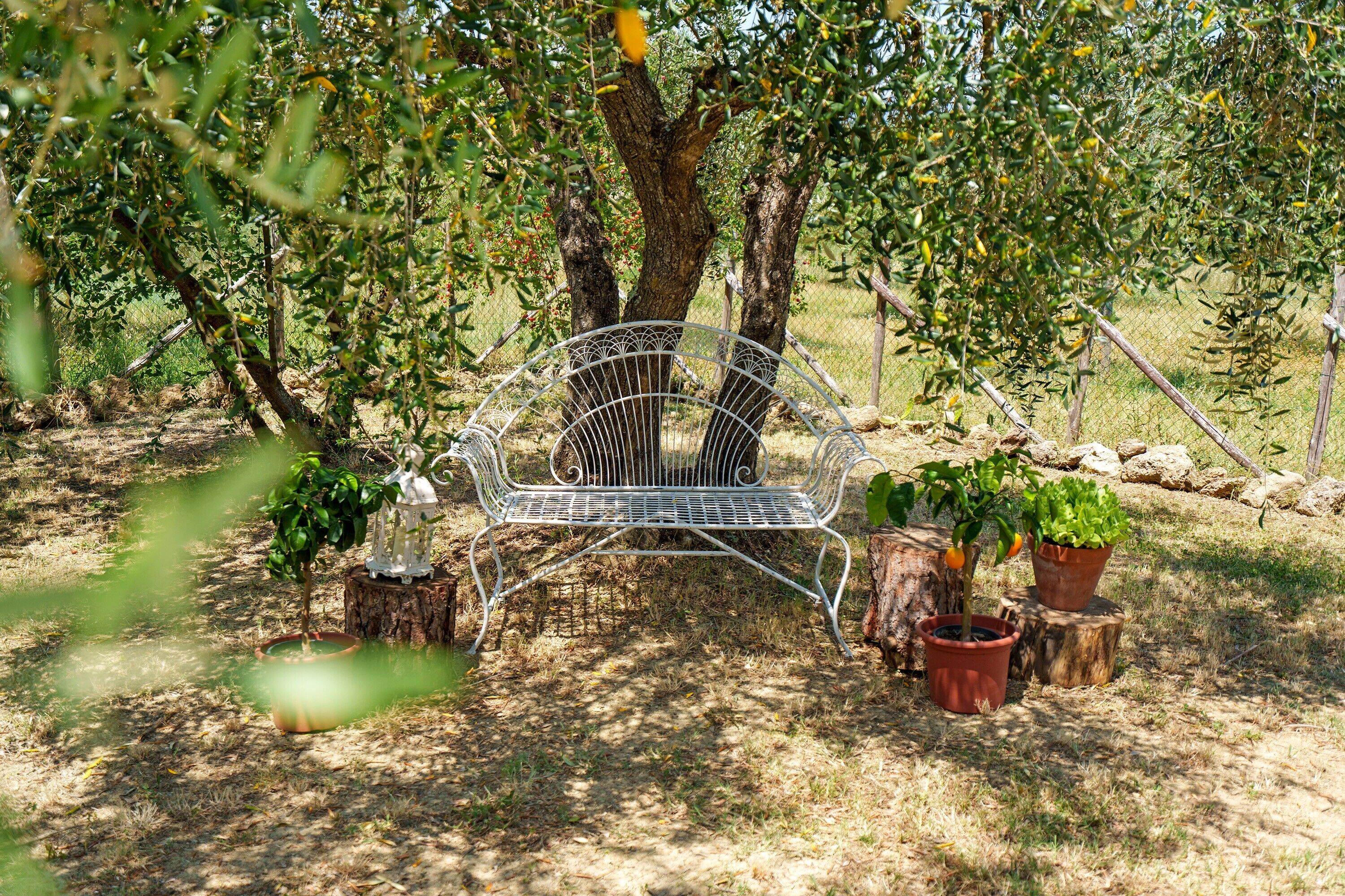 Parco della struttura