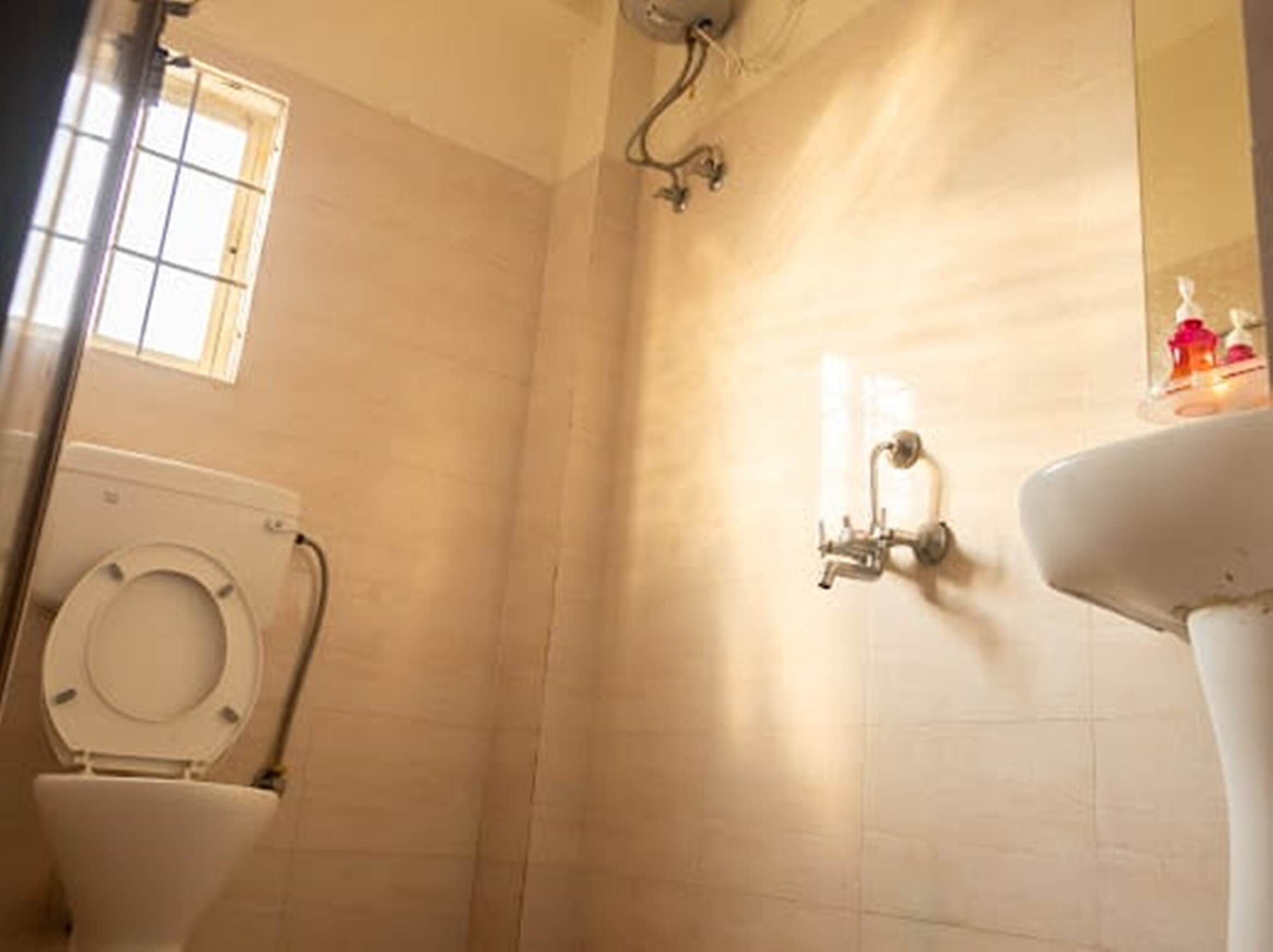 A bathroom with a toilet, a sink, and a shower.