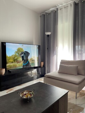 Televisie en een open haard
