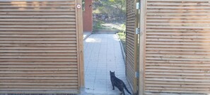A wooden gate with a 'No Entry' sign, a paved pathway, and a cat walking through.