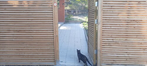 Holiday Home 'Le Moulin De L'Agly' with Wi-Fi and Air Conditioning
