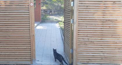 Holiday Home 'Le Moulin De L'Agly' with Wi-Fi and Air Conditioning