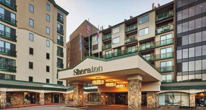 Experience the best of Steamboat Spring ski resort, ski-in/ski-out