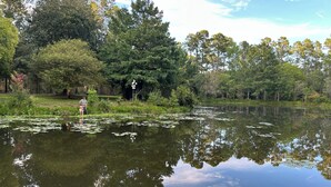 Ein stiller Teich, umgeben von dichtem Baumbestand und wolkenlosem Himmel.