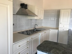 Fridge, oven, stovetop, cookware/dishes/utensils