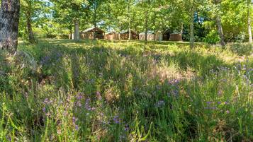 Áreas de la propiedad