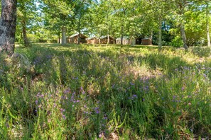 Property grounds - "Lodge 1" with Shared Pool, Private Terrace and Shared Garden (Lesperon)