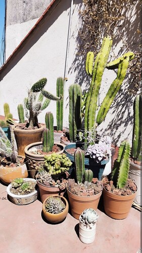 Apartamento en el sur de la Ciudad con todo para la familia y muy cerca de todo