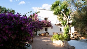 Ein Innenhof mit einem weißen Gebäude, Außenbestuhlung und Bougainvillea-Blumen.