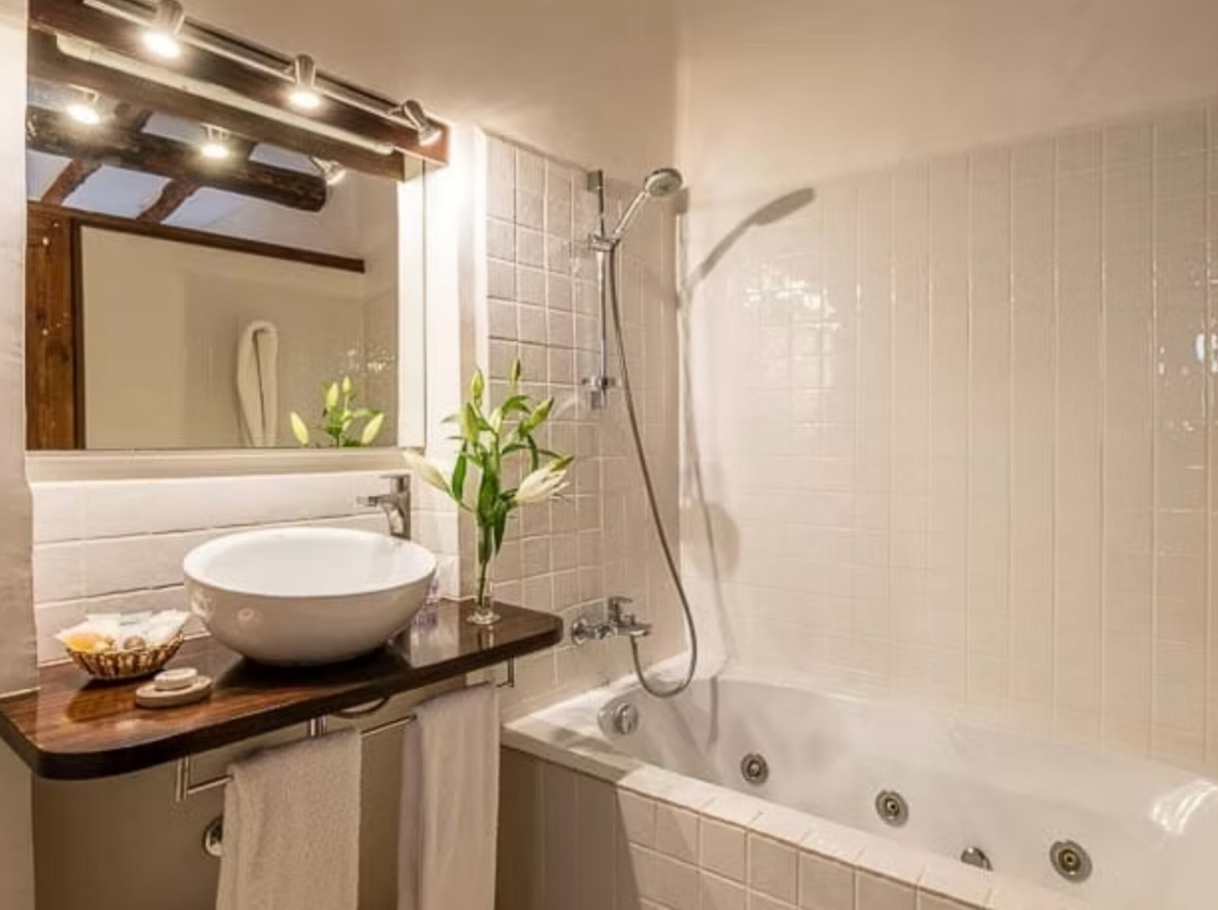 Hair dryer, bidet, towels, soap