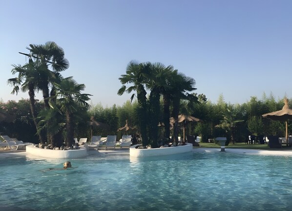 A pool area with lounge chairs and palm trees.