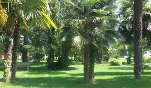 Parco della struttura