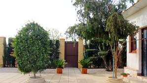 Une cour avec un sol pavé, une porte et diverses plantes en pot.