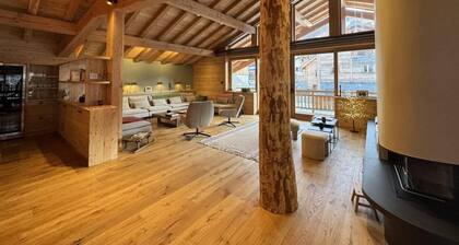 Chalet, 300m from ski lifts, swimming pool, terrace, fireplace or stove, parking, tv, ski locker