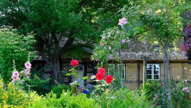 A traditional building with a thatched roof, surrounded by lush greenery and blooming flowers.