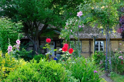 Judies Cottage