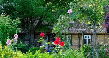 Judies Cottage