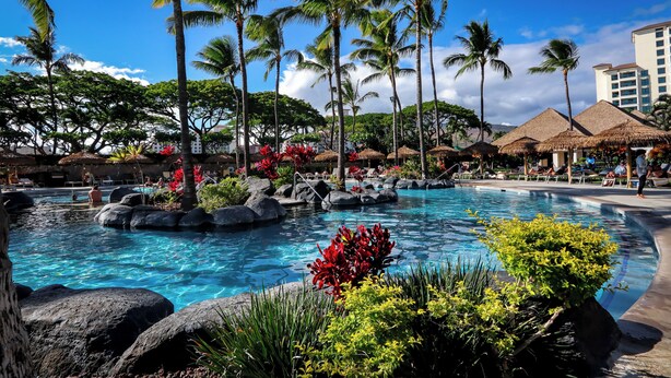 Une piscine de complexe hôtelier agrémentée de palmiers, de rochers et de plantes tropicales.