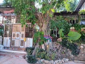 Área da propriedade