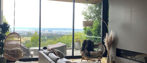 Televisión y chimenea