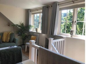 Älytelevisio, takka, DVD-soitin, kirjoja